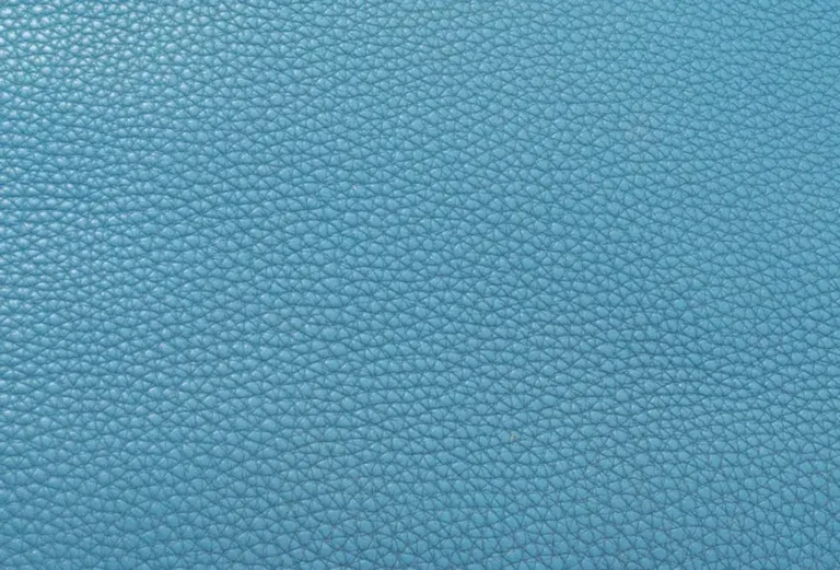 Textura de la piel Togo de Hermès