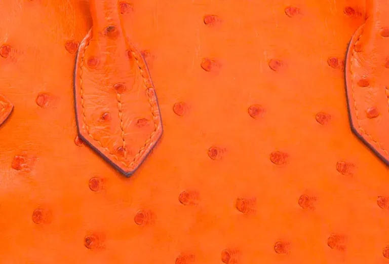 Textura de la piel de avestruz de Hermès