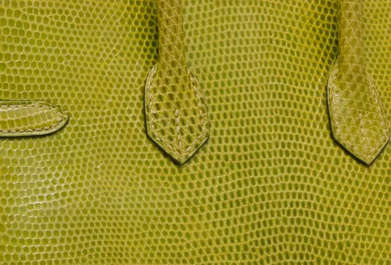 Textura de la piel de lagarto de Hermès
